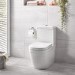 Close Coupled Rimless Toilet with Soft Close Seat - Grohe Euro Closed Back