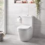 Close Coupled Rimless Toilet with Soft Close Seat - Grohe Euro Closed Back