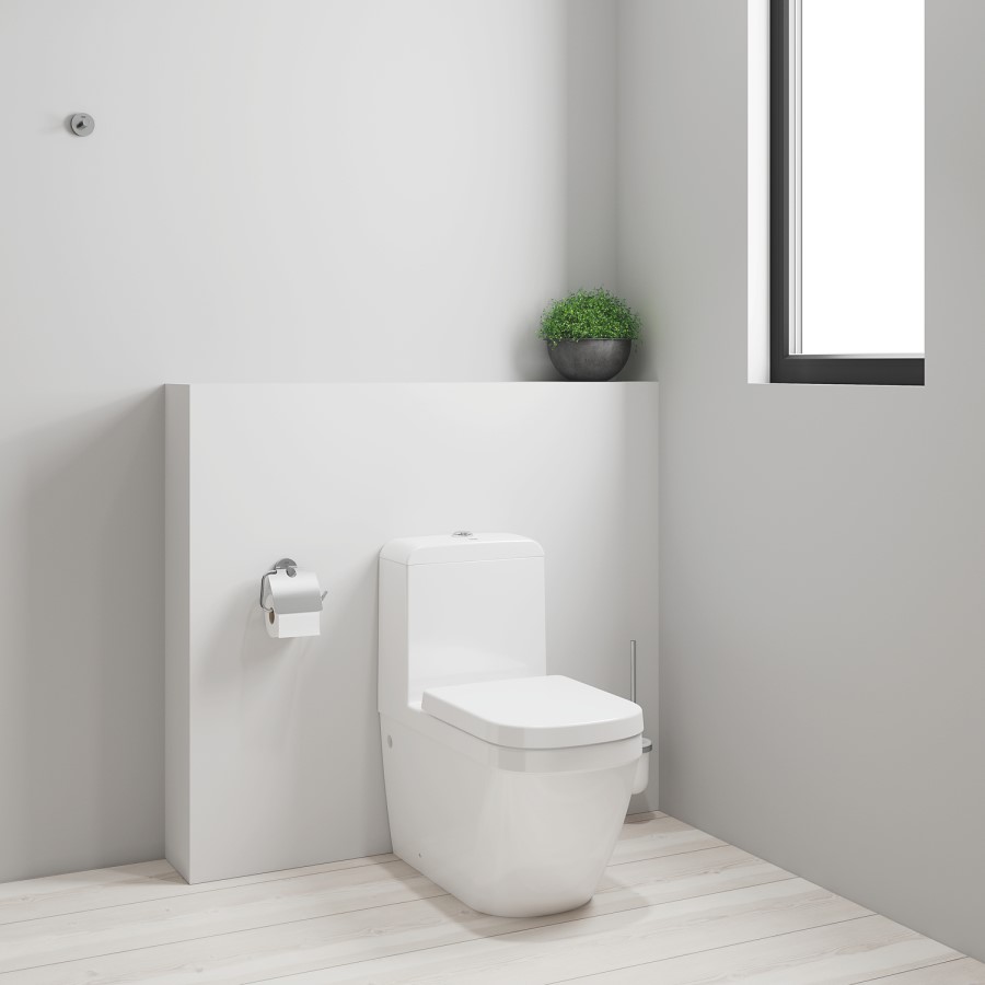 Close Coupled Rimless Toilet with Soft Close Seat - Grohe Euro Closed Back