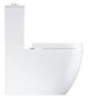 Close Coupled Rimless Toilet with Soft Close Seat - Grohe Euro Closed Back