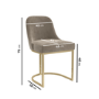 ALMOST PERFECT - Set of 2 Mink Velvet Dining Chairs with Gold Legs - Callie
