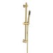 Brushed Brass Round Adjustable Height Slide Rail Kit with Hand Shower - Arisssa