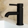 Black Mono Basin Mixer Tap - Arissa
