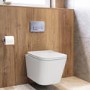 Wall Hung Toilet with Soft Close Seat, Pneumatic Chrome Flush Plate, 820mm Frame & Cistern - Albi