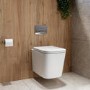 Wall Hung Toilet with Soft Close Seat, Pneumatic Chrome Flush Plate, 820mm Frame & Cistern - Albi