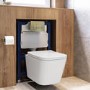 Wall Hung Toilet with Soft Close Seat, Pneumatic Brushed Brass Flush Plate, 820mm Frame & Cistern - Albi