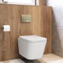 Wall Hung Toilet with Soft Close Seat, Pneumatic Brushed Brass Flush Plate, 820mm Frame & Cistern - Albi