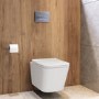 Wall Hung Toilet with Soft Close Seat, Pneumatic Chrome Flush Plate, 1168mm Frame & Cistern - Albi