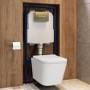 Wall Hung Toilet with Soft Close Seat, Pneumatic Brushed Brass Flush Plate, 1168mm Frame & Cistern - Albi