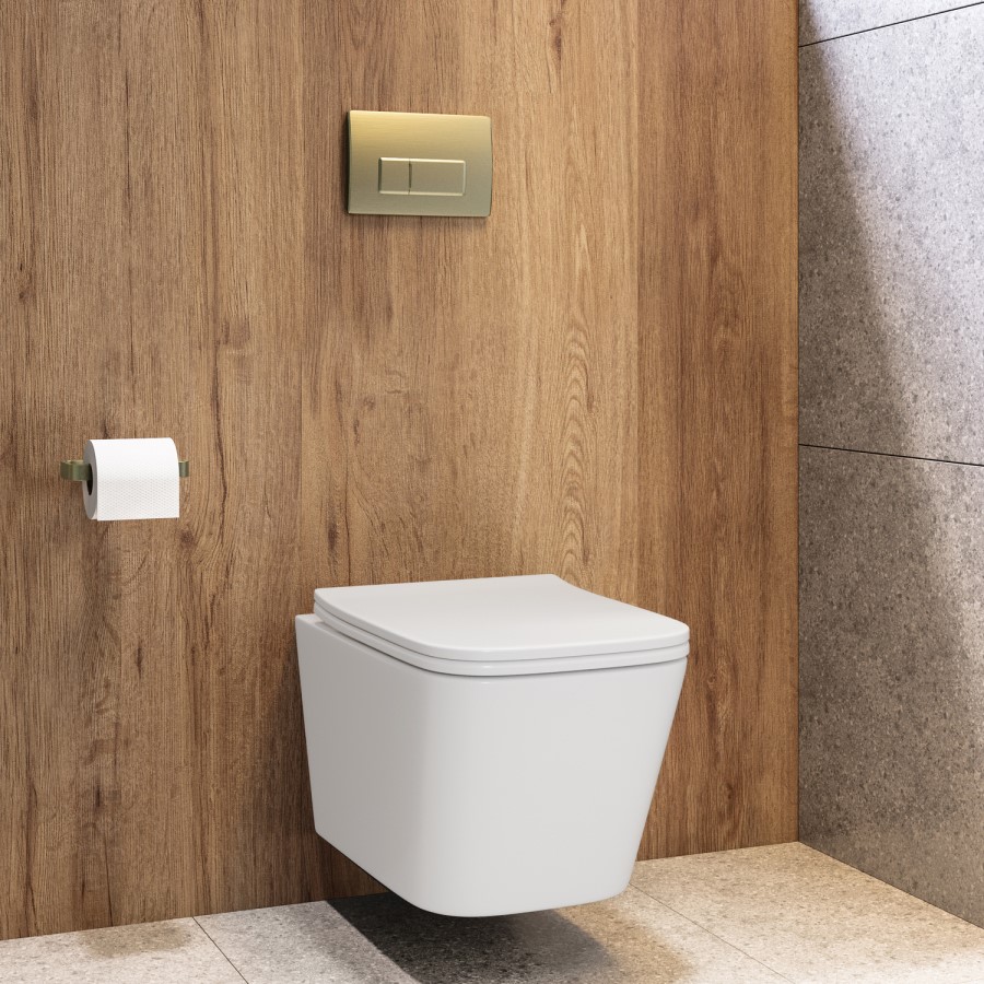 Wall Hung Toilet with Soft Close Seat, Pneumatic Brushed Brass Flush Plate, 1168mm Frame & Cistern - Albi