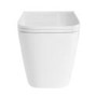 Wall Hung Toilet with Soft Close Seat, Pneumatic Black Flush Plate, 1168mm Frame & Cistern - Albi