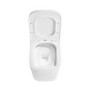 Wall Hung Toilet with Black Glass Cabinet, Cistern & Pneumatic Dual Flush Button - Albi