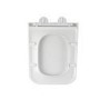 Wall Hung Toilet with Soft Close Seat, Mechanical Black Flush Plate, 1168mm Frame & Cistern - Albi