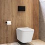Wall Hung Toilet with Soft Close Seat, Mechanical Black Flush Plate, 1168mm Frame & Cistern - Albi