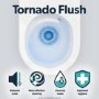 Wall Hung Toilet with Soft Close Seat, Mechanical Chrome Flush Plate, 1168mm Frame & Cistern - Albi