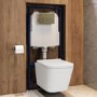 Wall Hung Toilet with Soft Close Seat, Mechanical Chrome Flush Plate, 1168mm Frame & Cistern - Albi