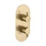 Brushed Brass 2 Outlet Wall Mounted Thermostatic Mixer Shower Set with Hand Shower and Slide Rail Kit - Arissa