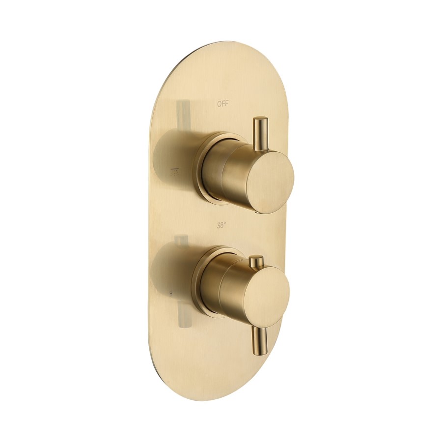 Brushed Brass 2 Outlet Wall Mounted Thermostatic Mixer Shower Set with Hand Shower and Slide Rail Kit - Arissa