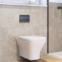 Wall Hung Rimless Toilet with Soft Close Seat, Gunmetal Grey Pneumatic Flush Plate, 820mm Frame & Cistern - Austin