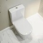 Close Coupled Toilet and Blue Basin Vanity Unit Cloakroom Suite - Baxenden