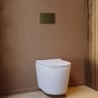 Matt White Wall Hung Rimless Toilet with Soft Close Seat, Brushed Brass Mechanical Flush Plate, 1168mm Frame & Cistern – Verona