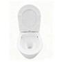 Matt White Wall Hung Rimless Toilet with Soft Close Seat, Brushed Brass Mechanical Flush Plate, 1168mm Frame & Cistern – Verona