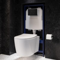 Wall Hung Rimless Toilet with Soft Close Seat, Black Mechnical Flush Plate, 1168mm Frame & Cistern – Alcor