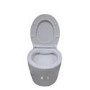 Wall Hung Rimless Toilet with Soft Close Seat, Brushed Brass Pneumatic Flush Plate, 820mm Frame & Cistern – Alcor