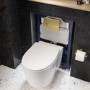 Wall Hung Rimless Toilet with Soft Close Seat, Brushed Brass Pneumatic Flush Plate, 820mm Frame & Cistern – Alcor