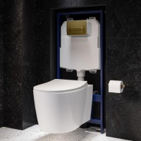 Wall Hung Rimless Toilet with Soft Close Seat, Brushed Brass Pneumatic Flush Plate, 1168mm Frame & Cistern – Alcor