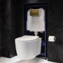 Wall Hung Rimless Toilet with Soft Close Seat, Brushed Brass Pneumatic Flush Plate, 1168mm Frame & Cistern – Alcor