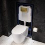 Wall Hung Rimless Toilet with Soft Close Seat, Brushed Brass Pneumatic Flush Plate, 1168mm Frame & Cistern – Alcor