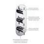 Chrome 2 Outlet Ceiling Mounted Thermostatic Mixer Shower Set with Hand Shower - Flow