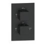 Black 1 Outlet Thermostatic Mixer Shower Set with Hand Shower - Zana