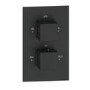 Black 2 Outlet Ceiling Mounted Thermostatic Mixer Shower Set with Hand Shower - Zana