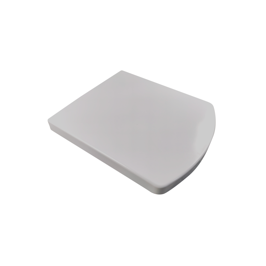 Back to Wall Rimless Toilet and Soft Close Seat - Ashford