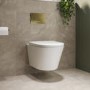 Wall Hung Rimless Toilet with Soft Close Seat, Brushed Brass Pneumatic Flush Plate, 820mm Frame & Cistern – Newport
