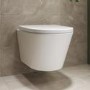 Wall Hung Rimless Toilet with Soft Close Seat, Chrome Pneumatic Flush Plate, 1168mm Frame & Cistern – Newport
