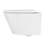 Wall Hung Rimless Toilet with Soft Close Seat, White Glass Sensor Flush Plate, 1168mm Frame & Cistern – Newport