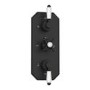 Black 2 Outlet Wall Mounted Thermostatic Mixer Shower Set with Hand Shower - Cambridge
