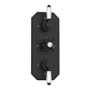 Black 2 Outlet Ceiling Mounted Thermostatic Mixer Shower Set with Hand Shower - Cambridge