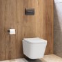 Wall Hung Toilet with Soft Close Seat, Gunmetal Flush Plate, 1168mm Frame & Cistern - Albi