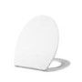 Wall Hung Toilet with Soft Close Toilet Seat, Gunmetal Flush Plate, 1168mm Frame & Cistern - Alcor 