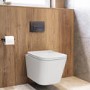 Wall Hung Toilet with Soft Close Seat, Gunmetal Flush Plate, 820mm Frame & Cistern - Albi