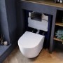Wall Hung Rimless Toilet with Soft Close Seat, Gunmetal Pneumatic Flush Plate, 820mm Frame & Cistern – Roma