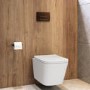 Wall Hung Toilet with Soft Close Toilet Seat, Brushed Bronze Flush Plate, 1168mm Frame & Cistern - Albi