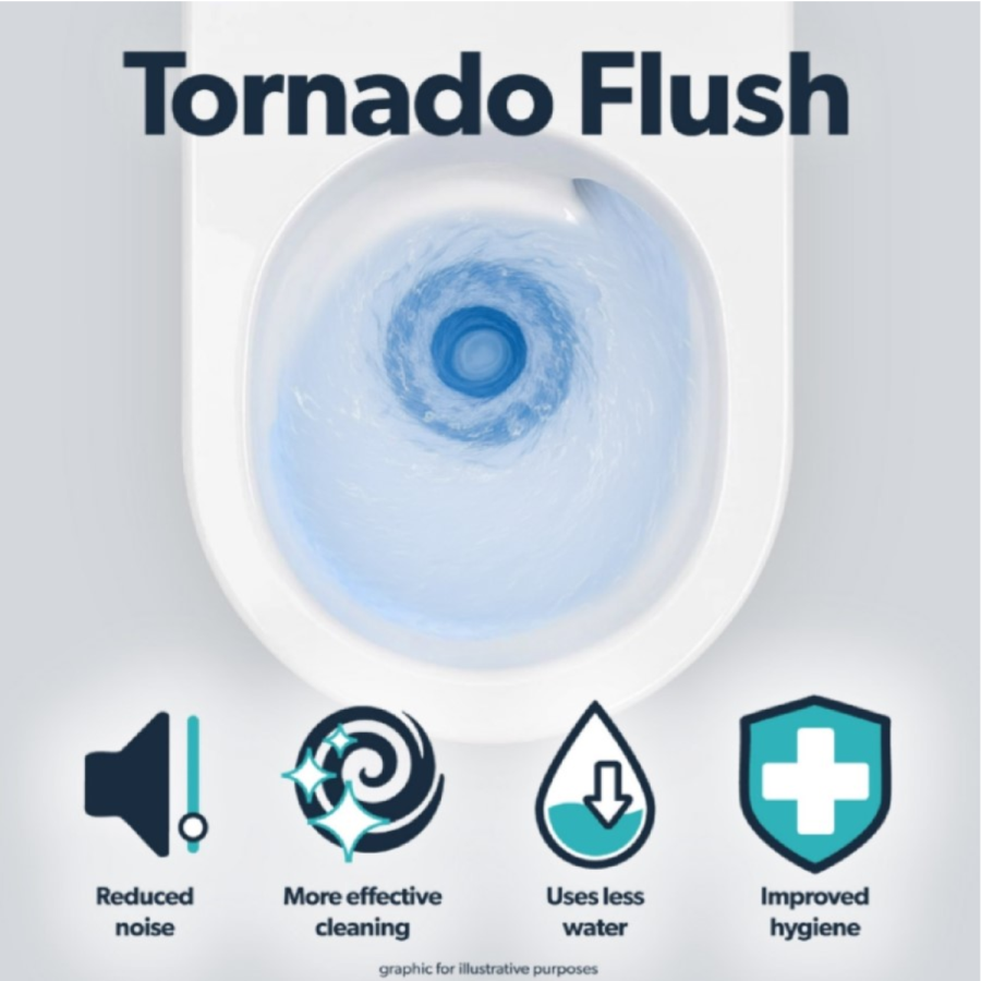 Wall Hung Toilet with Soft Close Toilet Seat, Brushed Bronze Flush Plate, 1168mm Frame & Cistern - Albi