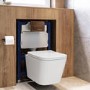 Wall Hung Toilet with Soft Close Toilet Seat, Brushed Bronze Flush Plate, 820mm Frame & Cistern - Albi