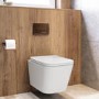 Wall Hung Toilet with Soft Close Toilet Seat, Brushed Bronze Flush Plate, 820mm Frame & Cistern - Albi
