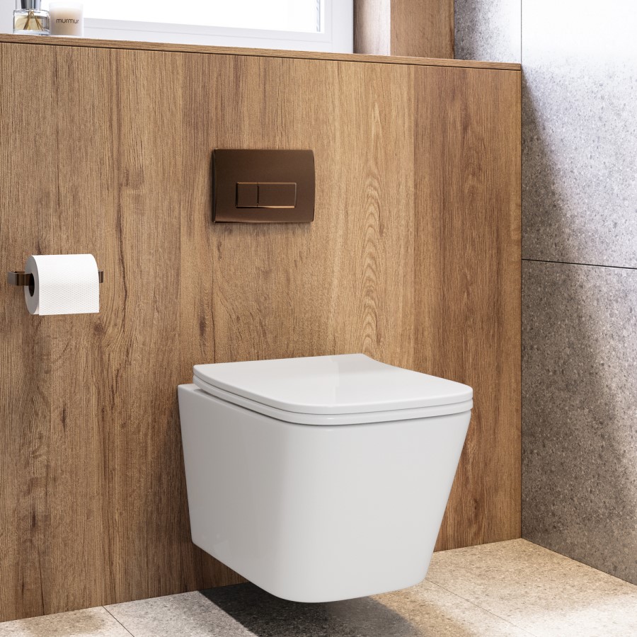 Wall Hung Toilet with Soft Close Toilet Seat, Brushed Bronze Flush Plate, 1168mm Frame & Cistern - Albi